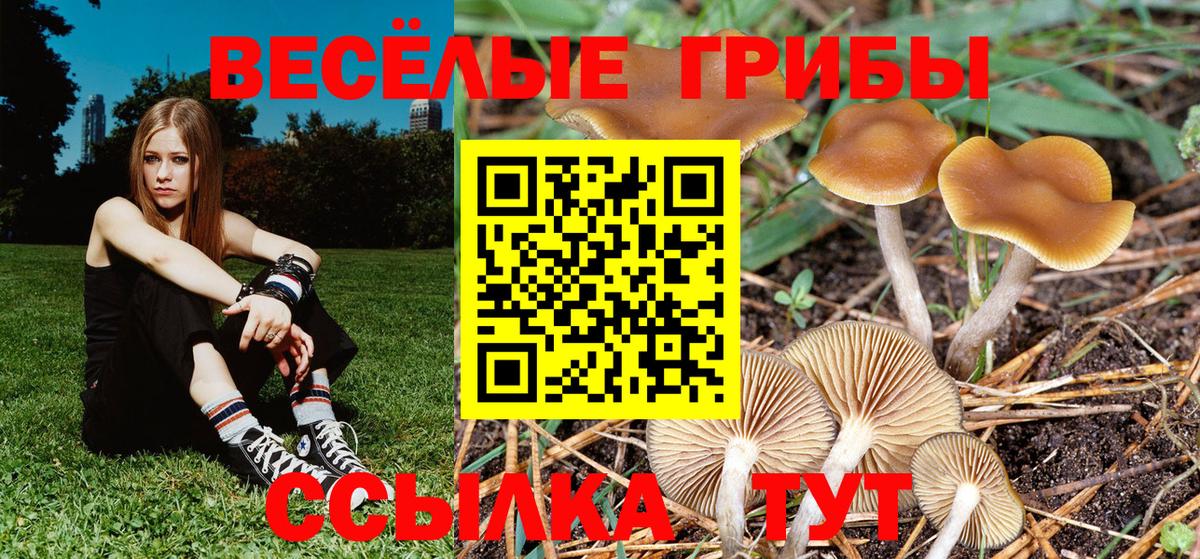 Псилоцибиновые грибы MAGIC MUSHROOMS Новозыбков